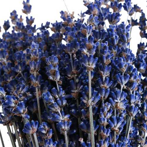 Product Dried Lavender Bunch of Dried Flower Blue 25cm 75g