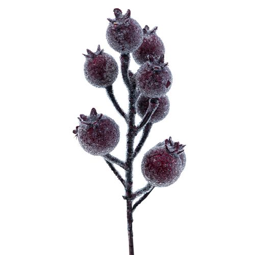 Floristik24 Rose hip branch berry branch frost artificial plant red 25cm 12pcs