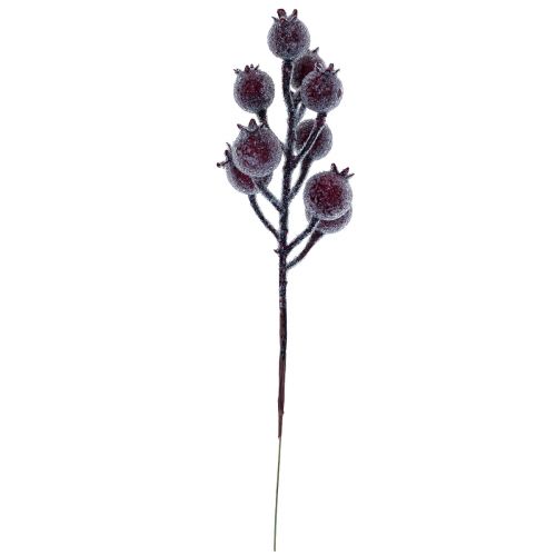 Floristik24 Rose hip branch berry branch frost artificial plant red 25cm 12pcs