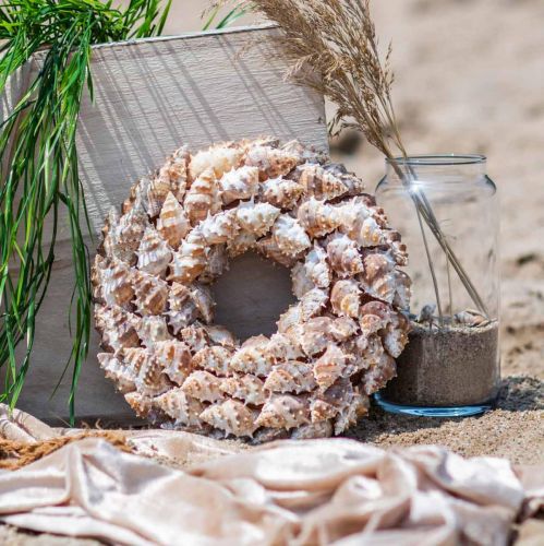 Product Deco wreath snails Maritime decoration door wreath sea snails Ø25cm