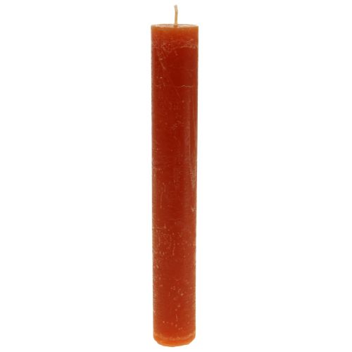 Floristik24 Stick candles colored brown candles 34×240mm 4pcs