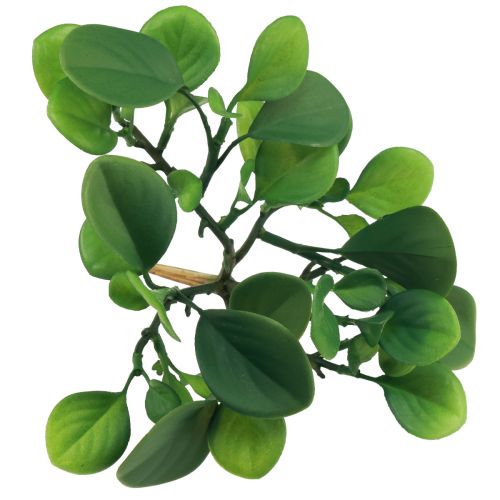 Product Artificial green plant succulent artificial green H14cm