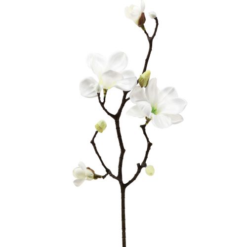 Floristik24 Artificial flower magnolia branch magnolia artificial white 58cm