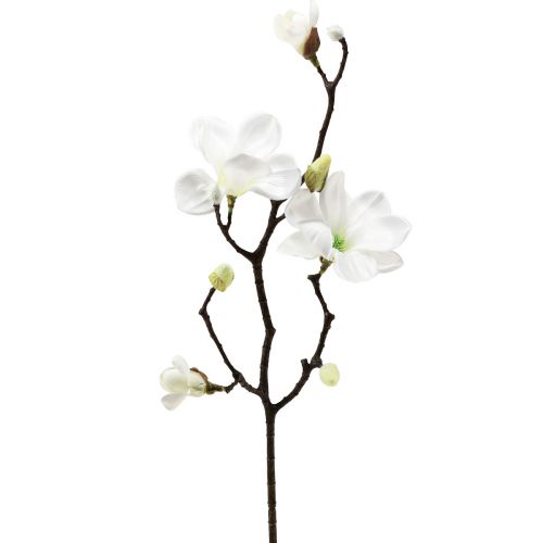 Floristik24 Artificial flower magnolia branch magnolia artificial white 58cm 3pcs