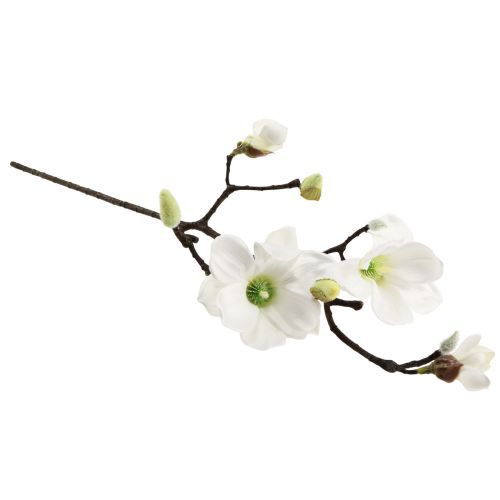 Floristik24 Artificial flower magnolia branch magnolia artificial white 58cm 3pcs