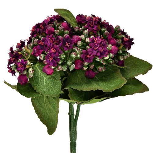 Floristik24 Flaming Käthchen Kalanchoe artificial purple 24cm