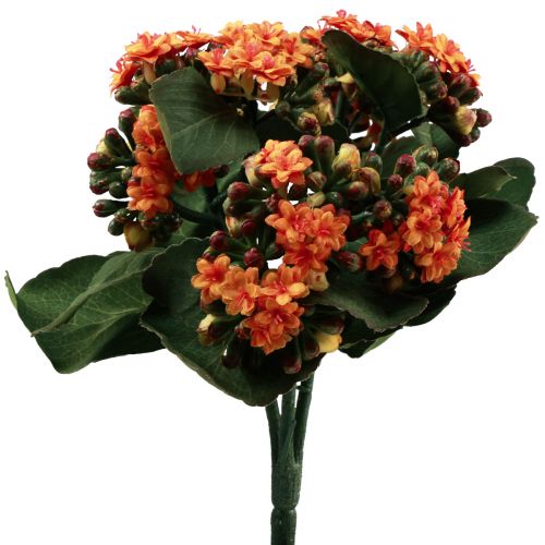 Floristik24 Flaming Käthchen Kalanchoe artificial orange 24cm