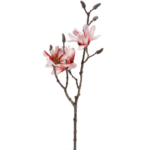 Floristik24 Magnolia branch magnolia artificial salmon 58cm