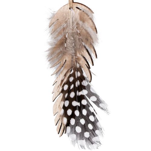 Product Decorative feather pendant wooden natural feather 9.5/10cm 9pcs