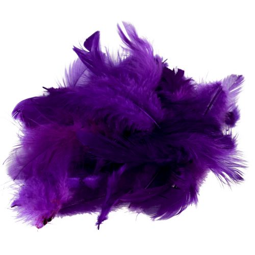 Decorative feathers small real bird feathers decoration purple 5-10cm 10g