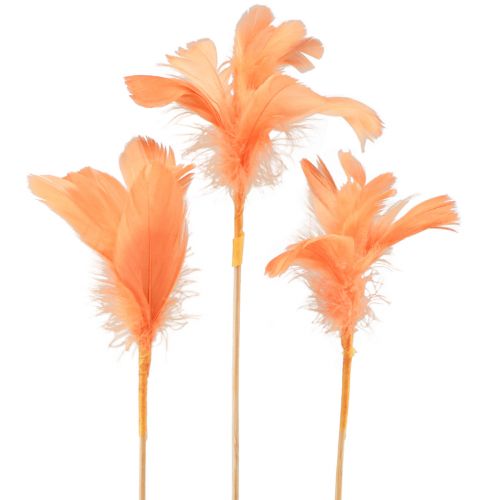 Floristik24 Decorative feathers orange bird feathers on stick 36cm 12pcs