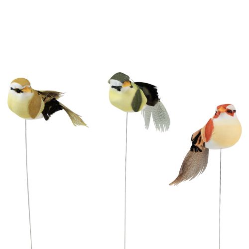 Floristik24 Feather Bird on Wire Decorative Bird with Feathers Green 4cm 12 Pcs