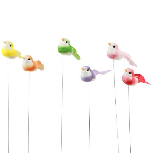 Floristik24 Feather bird on wire, decorative bird with feathers colored 2.5 cm 24 pieces