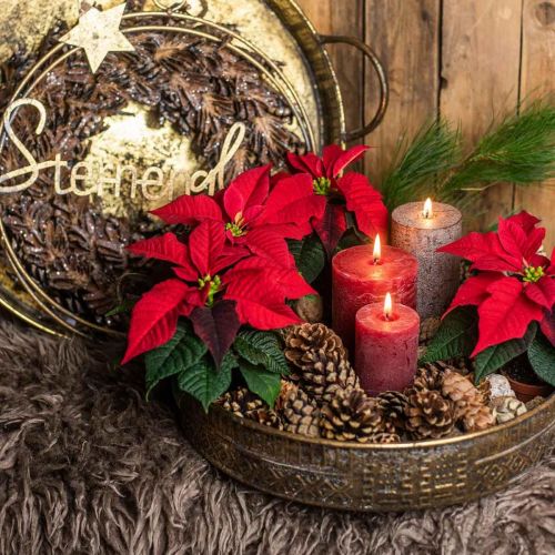 Floristik24 Decorative bowl with handles, patterned plant tray, golden metal vessel, antique look W45.5/42cm Ø39.5/34cm set of 2