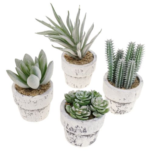 Floristik24 Artificial succulents in pot artificial plants green Ø4cm 12pcs