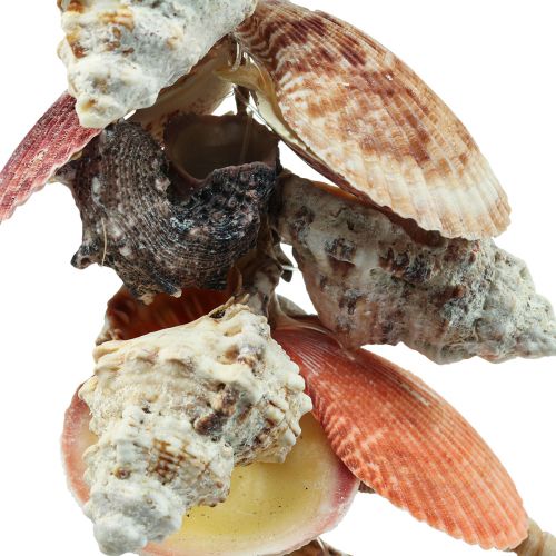 Product Maritime hanging decoration shells and sea snails decoration 82cm