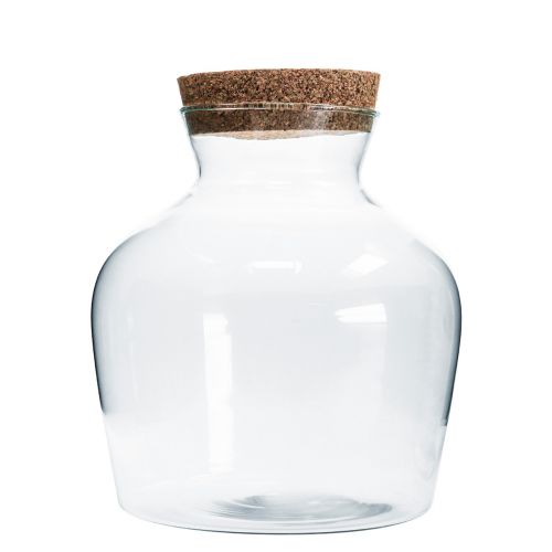 Floristik24 Decorative glass with cork Decorative vase clear bulbous Ø20cm H21cm
