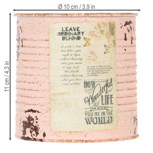 Product Flower pot decorative can salmon metal summer decoration Ø11cm H10.5cm