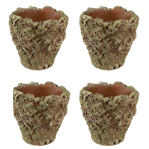 Product Plant pot rustic planter moss look Ø17cm H16.5cm 4pcs