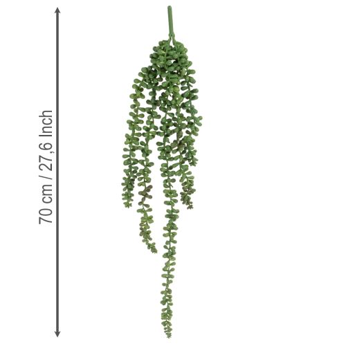 Artificial Succulent Hanging Garlands, 80 cm, Green, Indoor Decoration | Floristik24.co.uk