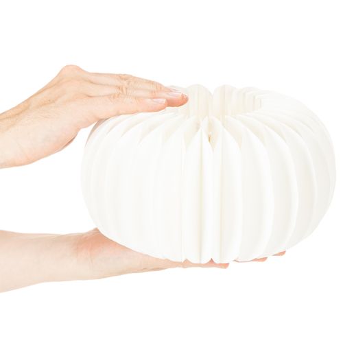 White Paper Honeycomb Pumpkin 24cm Set of 4 for Floral and Autumn Décor | Floristik24.co.uk
