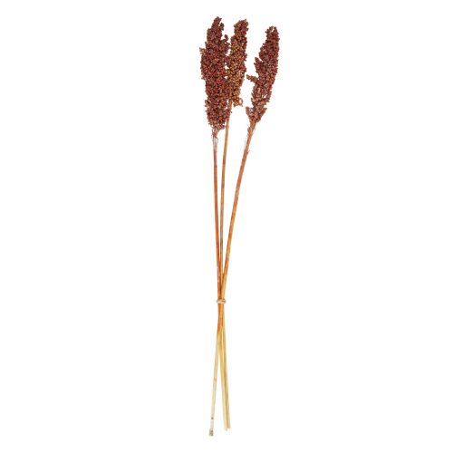 Product Dried Flowers Sorghum Millet Orange Dry Flowers 70cm 3pcs