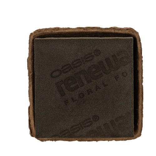 OASIS Renewal Biolit Floral Foam Half Brick, 12 x 12 x 8 cm, Brown, 2 Pack buy online | Floristik24.co.uk