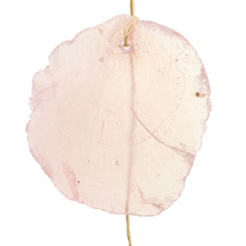 Floristik24 Shell garland mother of pearl shell garland Capiz pink L108cm