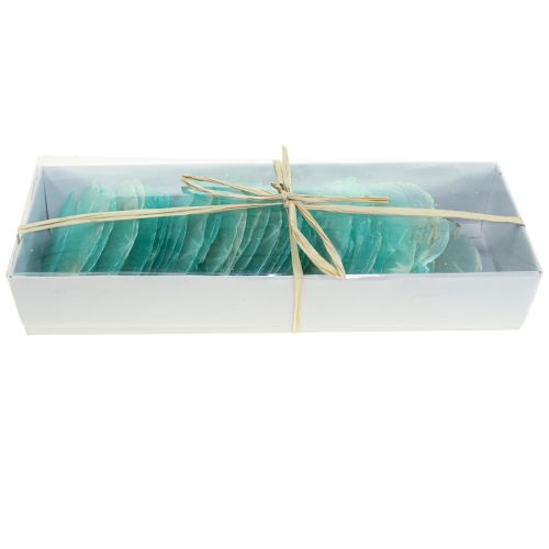 Floristik24 Capiz shells, capiz discs, mother-of-pearl discs turquoise 6.5–9.5cm 650g