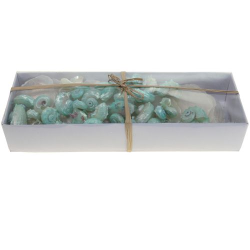 Product Capiz Mother of Pearl Shell Mother of Pearl Discs Sea Snail Shell Green 2-9cm 650g