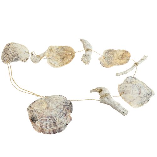 Floristik24 Capiz Garland Mother of Pearl Shell Garland Driftwood L106cm