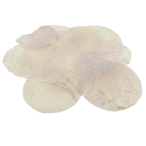 Capiz shells mother-of-pearl discs deco shells light pink Ø8cm