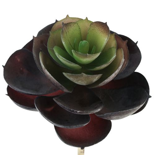 Product Succulent Echeveria Artificial Green Plants Ø7cm 12cm 6 pcs