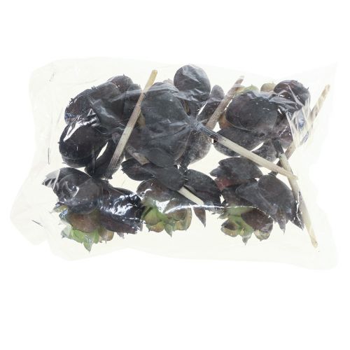 Product Succulent Echeveria Artificial Green Plants Ø7cm 12cm 6 pcs