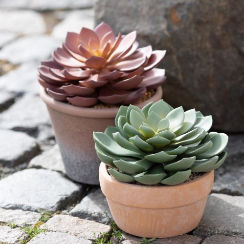 Product Succulent plant in pot Echeveria artificial green Ø15cm