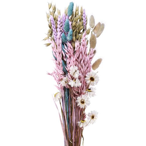 Floristik24 Dried flower bouquet straw flowers Phalaris grain 58cm