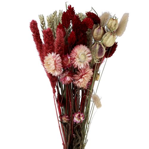 Dried flower bouquet straw flowers Phalaris red 30cm