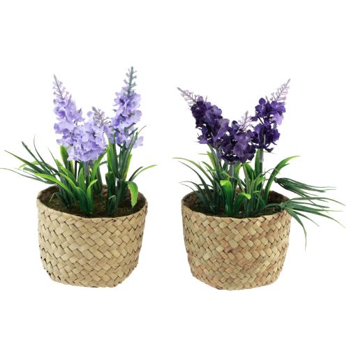 Artificial hyacinth in pot seagrass blue purple 16/17cm 2pcs