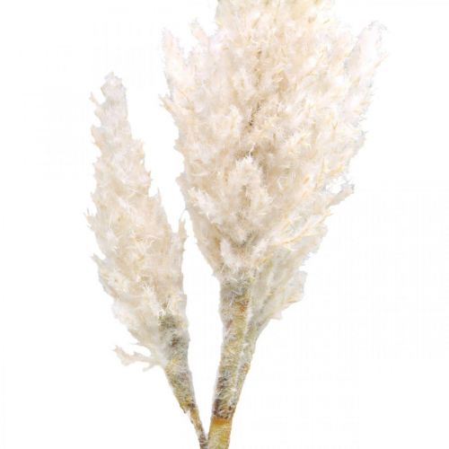 Product Pampas grass white cream artificial dry grass decoration 82cm