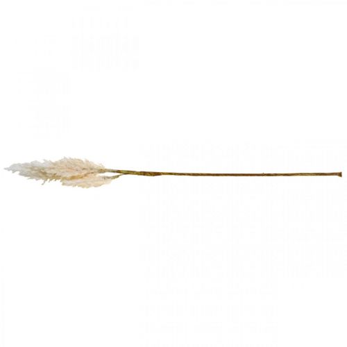 Floristik24 Pampas grass white cream artificial dry grass decoration 82cm