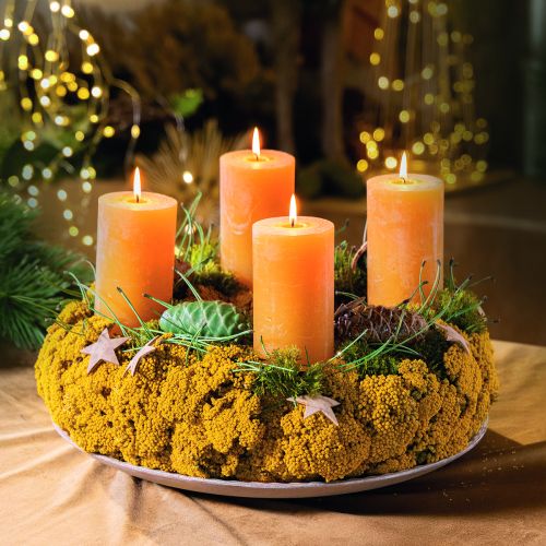 Achillea Dried Flowers Yellow 1kg - Natural Yarrow Stems 45-60cm | Floristik24.co.uk