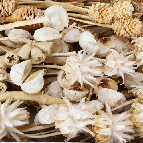 Product Africa range, bleached, 60 pieces