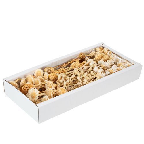 Product Africa range, bleached, 60 pieces