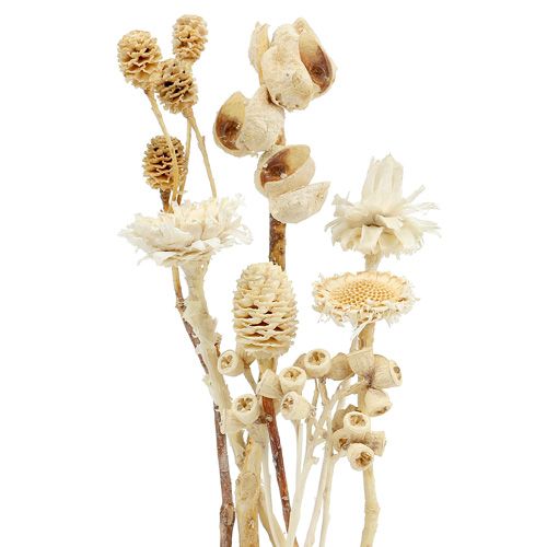 Product Africa assortment bleached 60 pcs