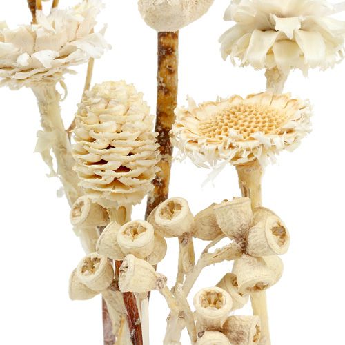 Product Africa assortment bleached 60 pcs