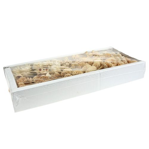 Product Africa assortment bleached 60 pcs