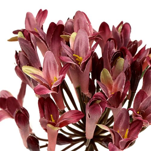 Floristik24 Agapanthus artificial dark red L75cm 3pcs