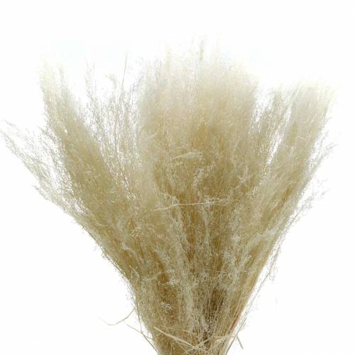 Product Dry grass Agrostis bleached 40g