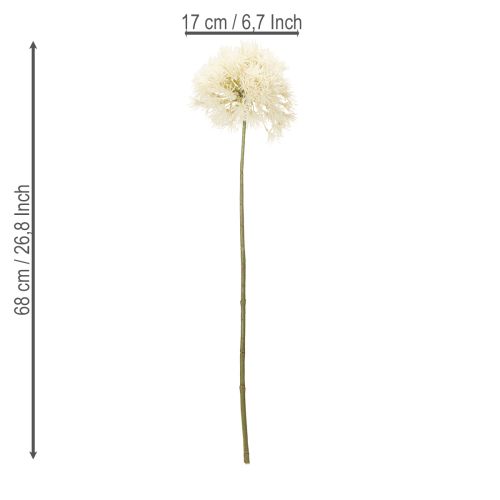 Product Allium artificial flower, delicate design for indoor use, 68cm
