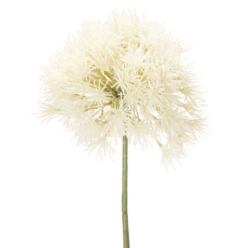 Product Allium artificial flower, delicate design for indoor use, 68cm